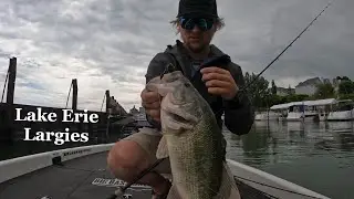 Lake Erie 2022 - Largemouth Edition (Part 2)
