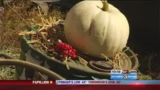 Thousands flock to Junkstock