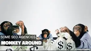 Video Ranking Expert - Video SEO Expert