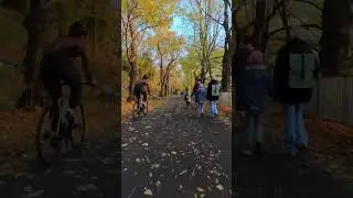 Fall in Prague