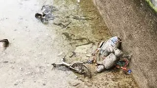 Paris Canal Is Drained and the Finds Are Unreal