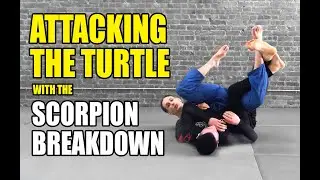 Scorpion Breakdown: Attacking Turtle Position No Gi BJJ