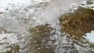 Breaking Up Some Ice And Bonus Footage Of Lily Grace Sliding Around In The Ice Alaska 2026