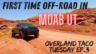 My First Time Off-Roading in MOAB | Overland Taco Tuesday Ep. 3!