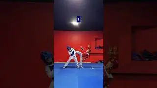 Taekwondo techniques! boxing techniques! #taekwondo #boxing #viralshorts #viral