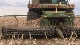 Жатка FP6000 KRONE + Claas Jaguar