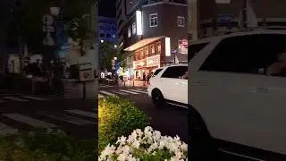 the most beautiful street in Yokohama Japan 🇯🇵 #music #beats #song