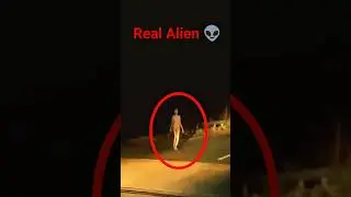 The Real Alien 🤯 #shorts