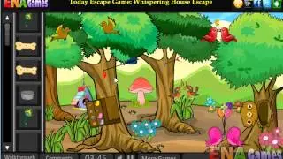Peacock Escape Walkthrough