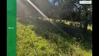NETTUNO TRE CANCELLI - VIA ROCCA D'ARCE