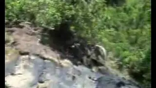 JUNGLE TREKKING THAILAND isaraguide@hotmail.com,isaraguide@yahoo.com. by Mr.isara