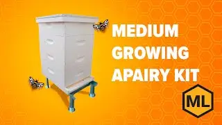 Medium Growing Apiary Kit by Mann Lake &ndash; Best for Beginners