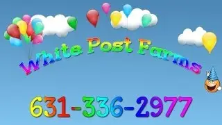 Kids Party Long Island: One of a kind party place for kids in Long Island