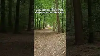 What path are you on right now?