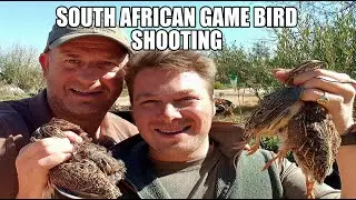 South African game bird shooting
