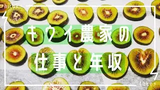 キウイ農家の仕事と年収
