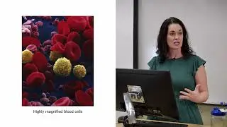 Blood- General Characteristics