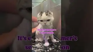 Have you ever tried purple shampoo?