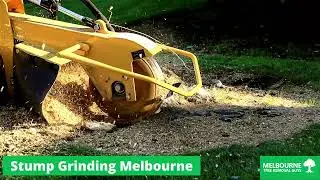 Efficient Stump Removal in Melbourne