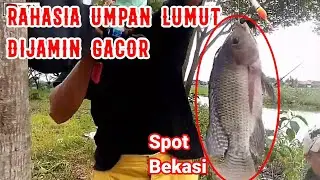 MANCING IKAN NILA||SPOT MANCING PERTAMINA BABELAN BEKASI UTARA