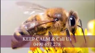 KEEP CALM PEST CONTROL INTRO