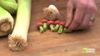 Albert Mondor, le Jardinier branch&eacute;: potager de trognons