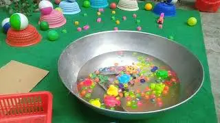 Catch Colorful aquarium fish Giant colorful Egg Tiger tetra pencil fish beautiful fish in small pond