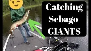 Catching Giant pike on Sebago Lake