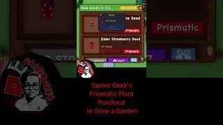Gamer Geek Snaps up the Elder Strawberry Seeds Stock in Grow a Garden #growagardenshort #roblox