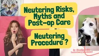 what are Neutering Risks, Myths & Tips for Post-Op Care for Cats & Dogs|| Neutering procedure ?