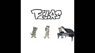 ALL MY FELLAS #cat #molotov #edit #cutecat #cute #animation #meme #stockdancing