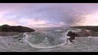 Soaring above Fogarty Creek