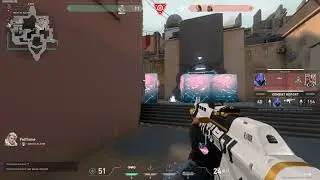 ego vandal moment