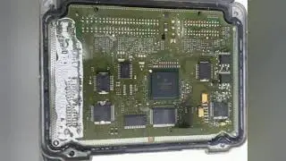 DECODE OMEGA AUSTRALIANO E77 0261209319