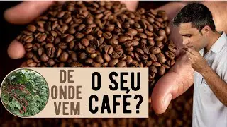De onde vem o seu café?
