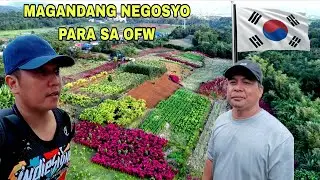 Sa Kapwa ko OFW Kababayan Negosyo ba hanap mo Direct Supplier Murang mga halaman  (Export sa KOREA)