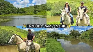 ✨️ FAZENDA CAMPANÁRIO 142,9751HA ✨️ VÍDEO AMONTADO A CAVALO ATUALIZADO 