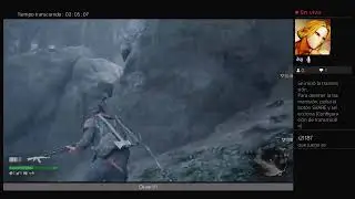 Gameplay