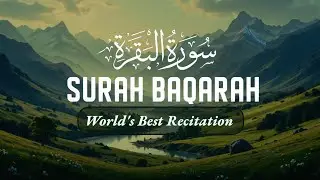 Surah Al-Baqarah ❤️ The Shield of the Believer | Most Powerful & Heart Touching Quran Recitation
