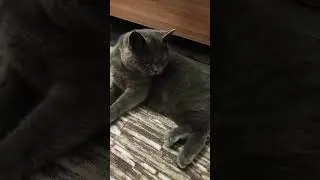 лентяи