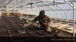 Growing Native Azaleas From Seed Pt. 1