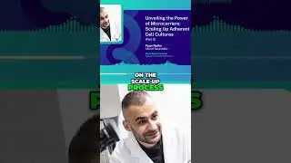 Revolutionizing Modeling: The Power of AI in Science