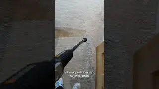 Pre-spray chemical reaction for #carpetcleaning