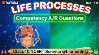 Class 10 Life Processes NCERT Biology Competency Based Questions