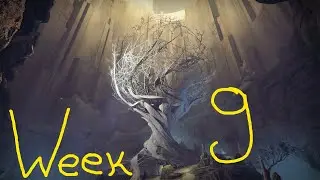 Interference Week 9: Purity - Destiny 2: Season of Arrivals Part 11