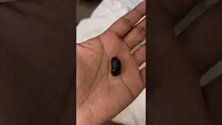 For those who have not yet seen a snake stone AKA NaagMani