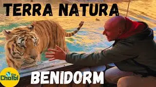 TERRA NATURA BENIDORM #terranatura #benidorm