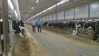 Living the Dream | Thomson Dairy Services