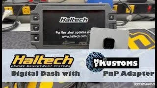 M.F. Digital Dash PnP Adapter - Haltech iC-7 & uC-10 Digital Dashes
