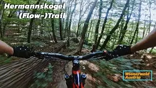 Hermannskogel (Flow-)Trail - Mountianbike Wien (Wienerwald Trails)